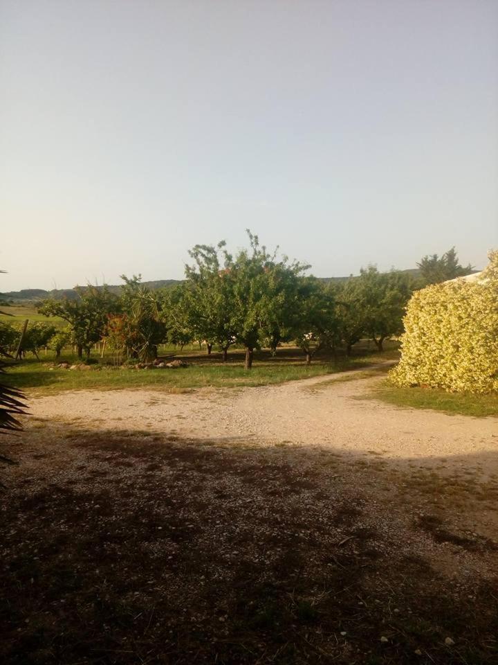 Ferienwohnung Residenza Agrituristica Santa Lucia Con Piscina Alghero Exterior foto