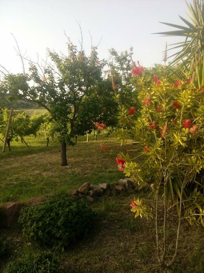 Ferienwohnung Residenza Agrituristica Santa Lucia Con Piscina Alghero Exterior foto